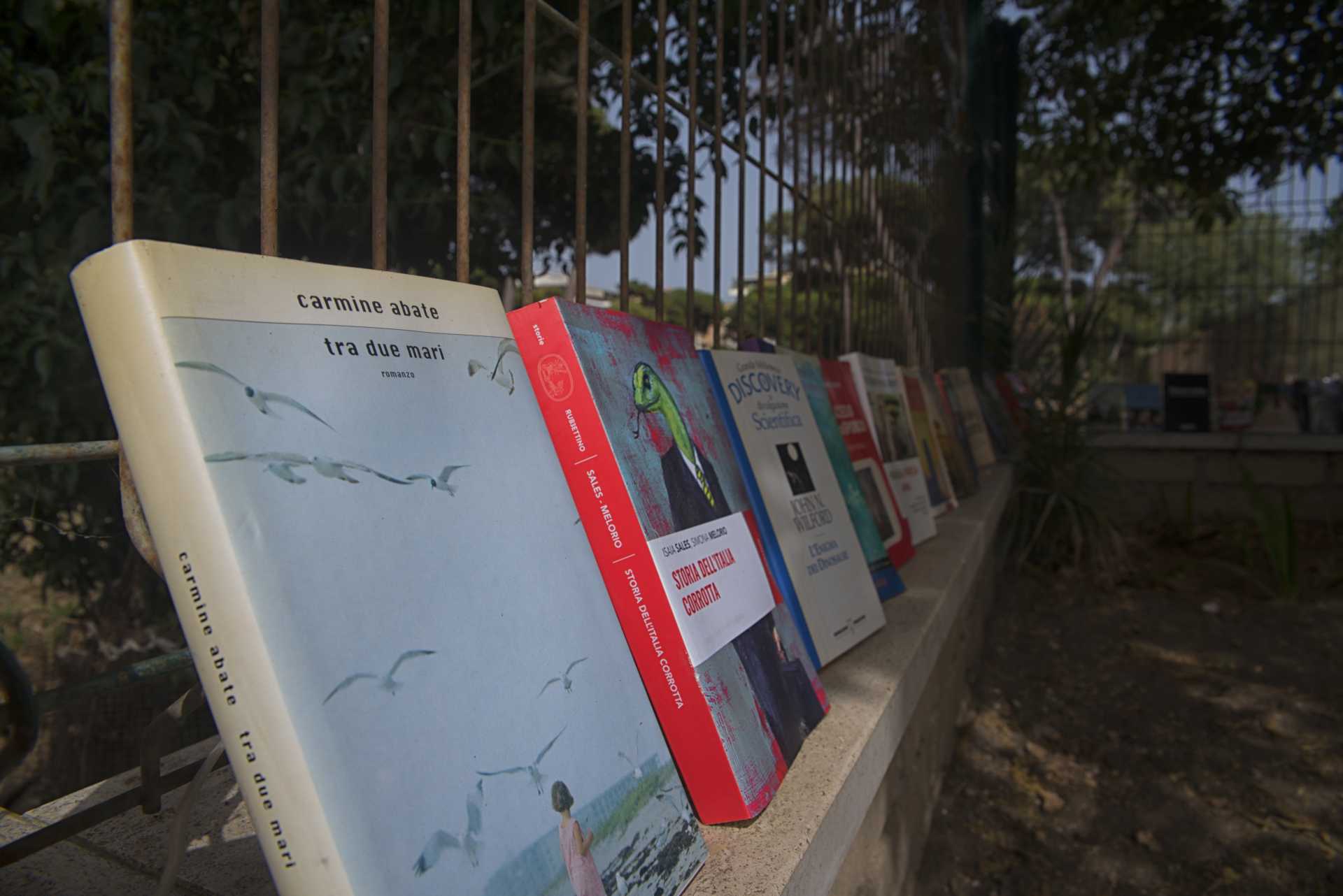 L''albero dei libri....